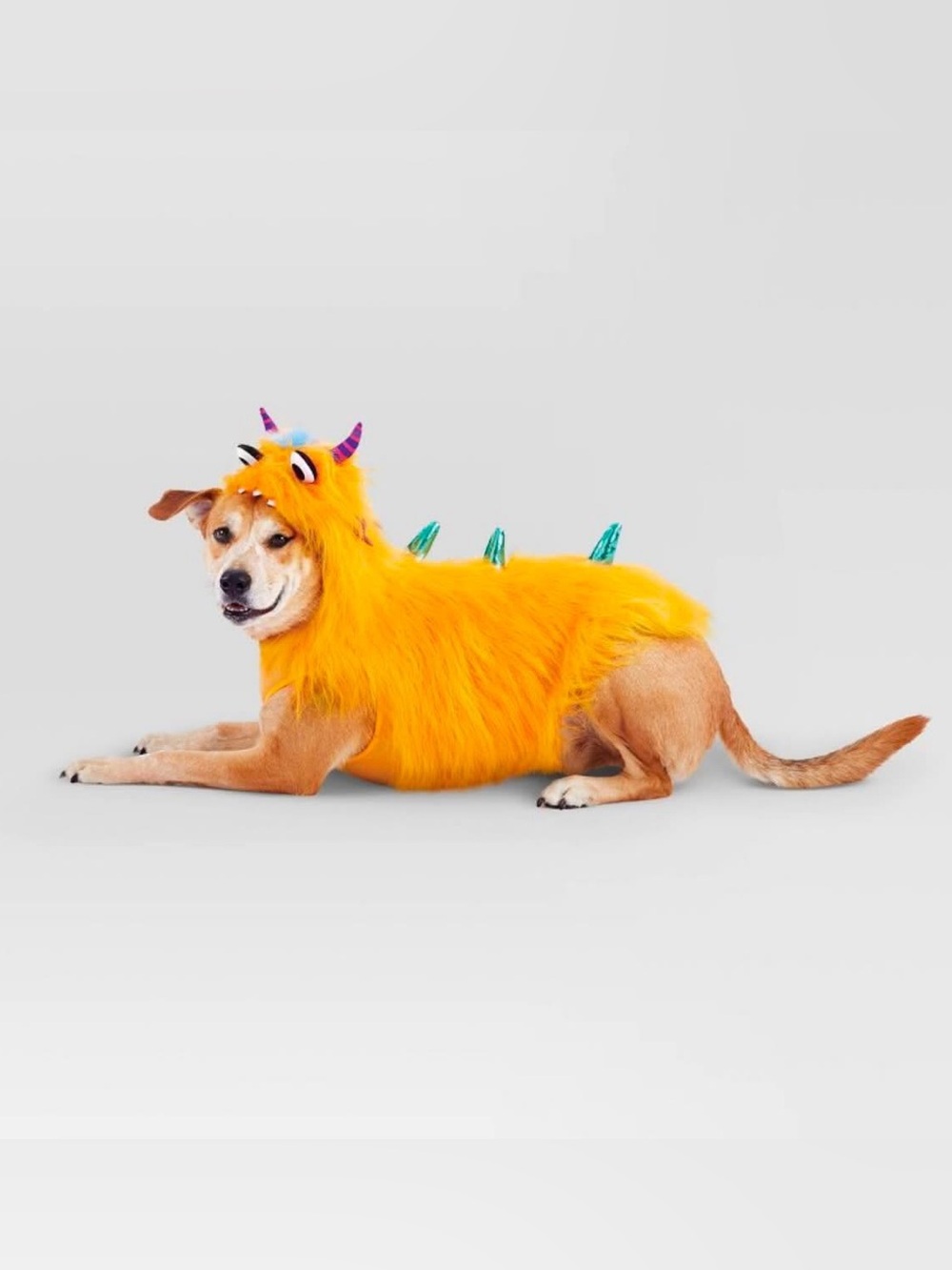 Halloween Monster Hoodie Dog Costume - Hyde and EEK! Boutique
